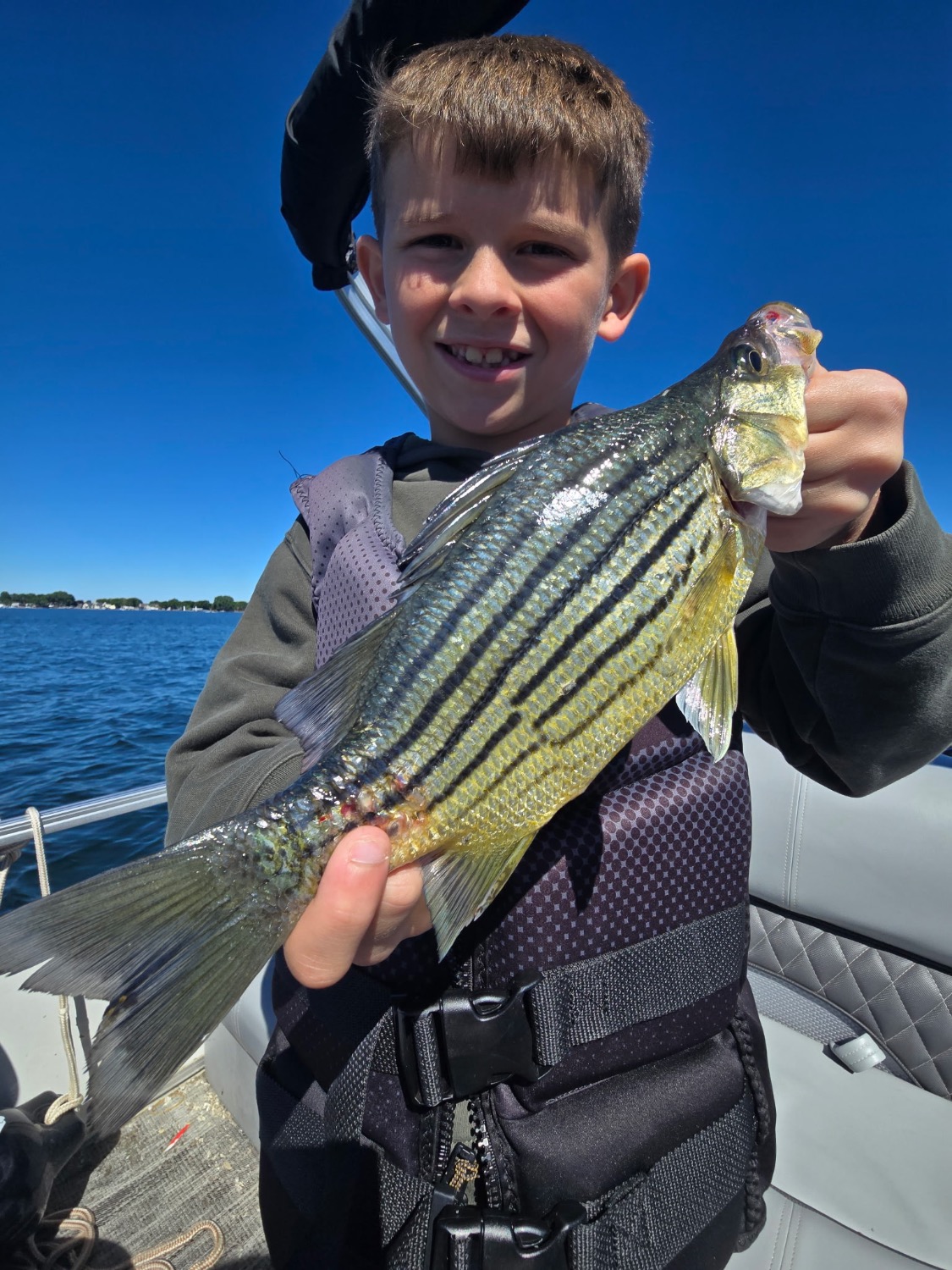 fish
