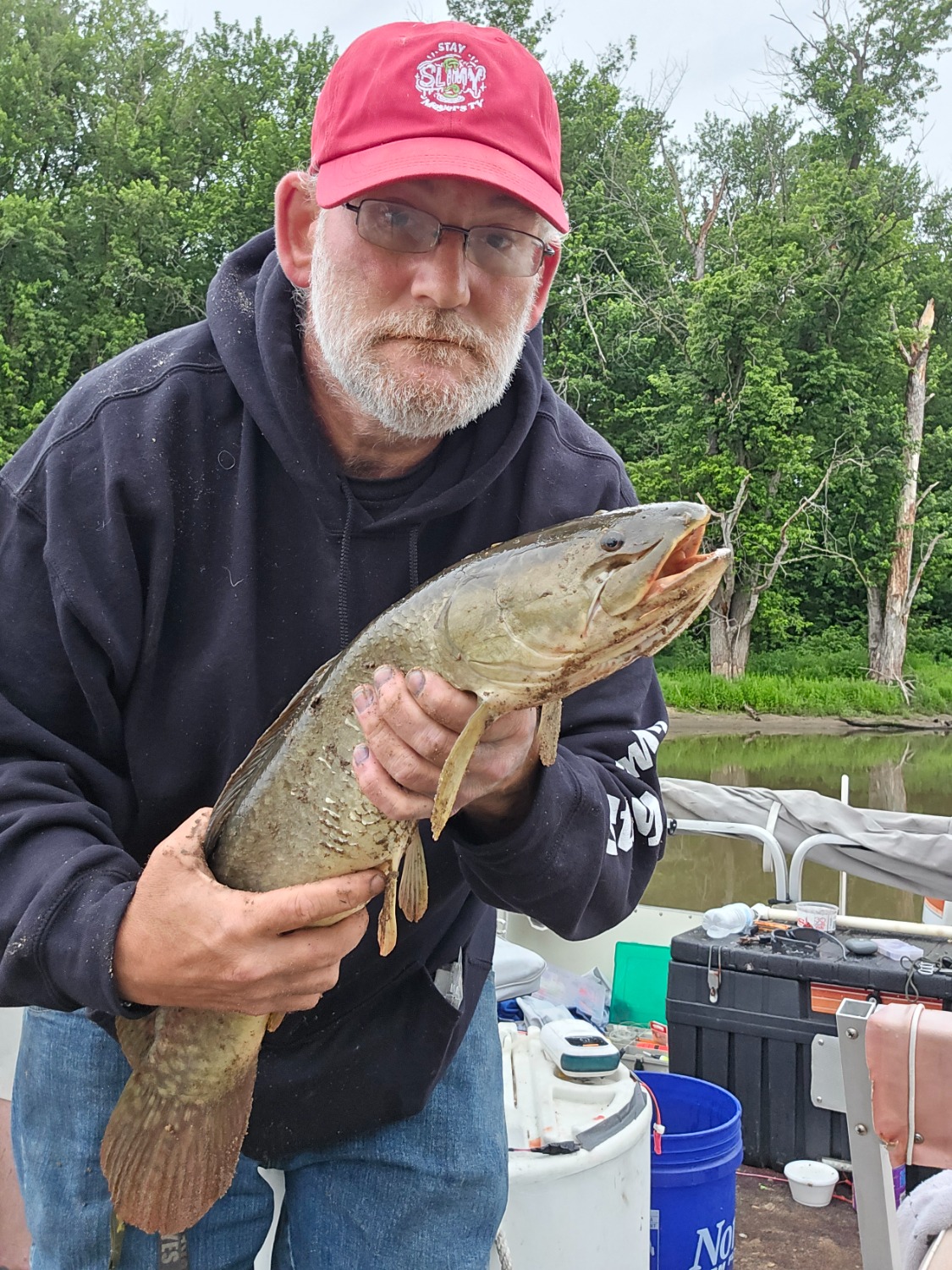fish