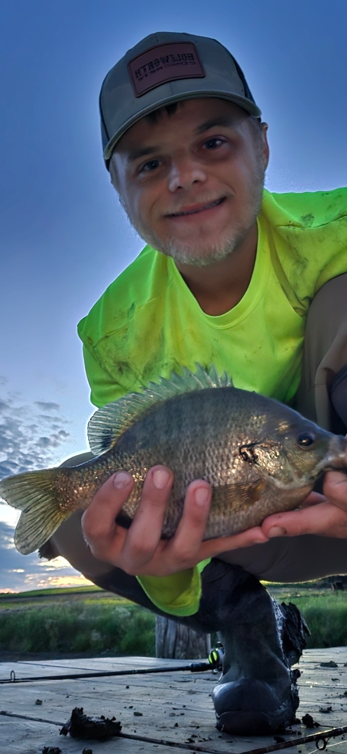 fish