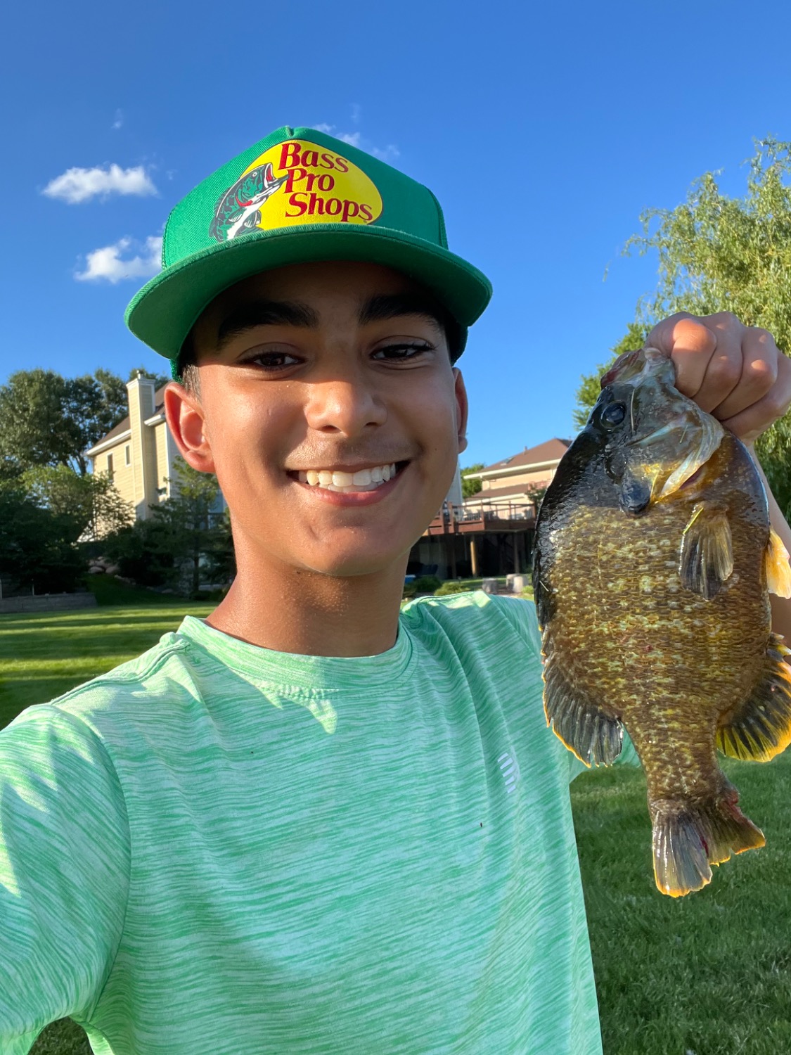 fish