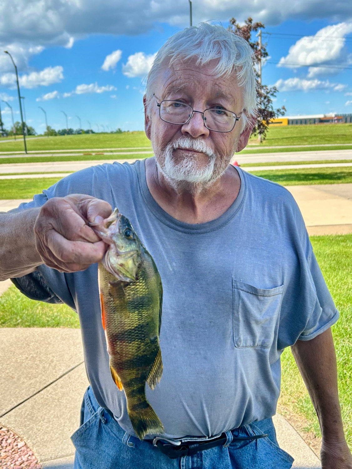 fish
