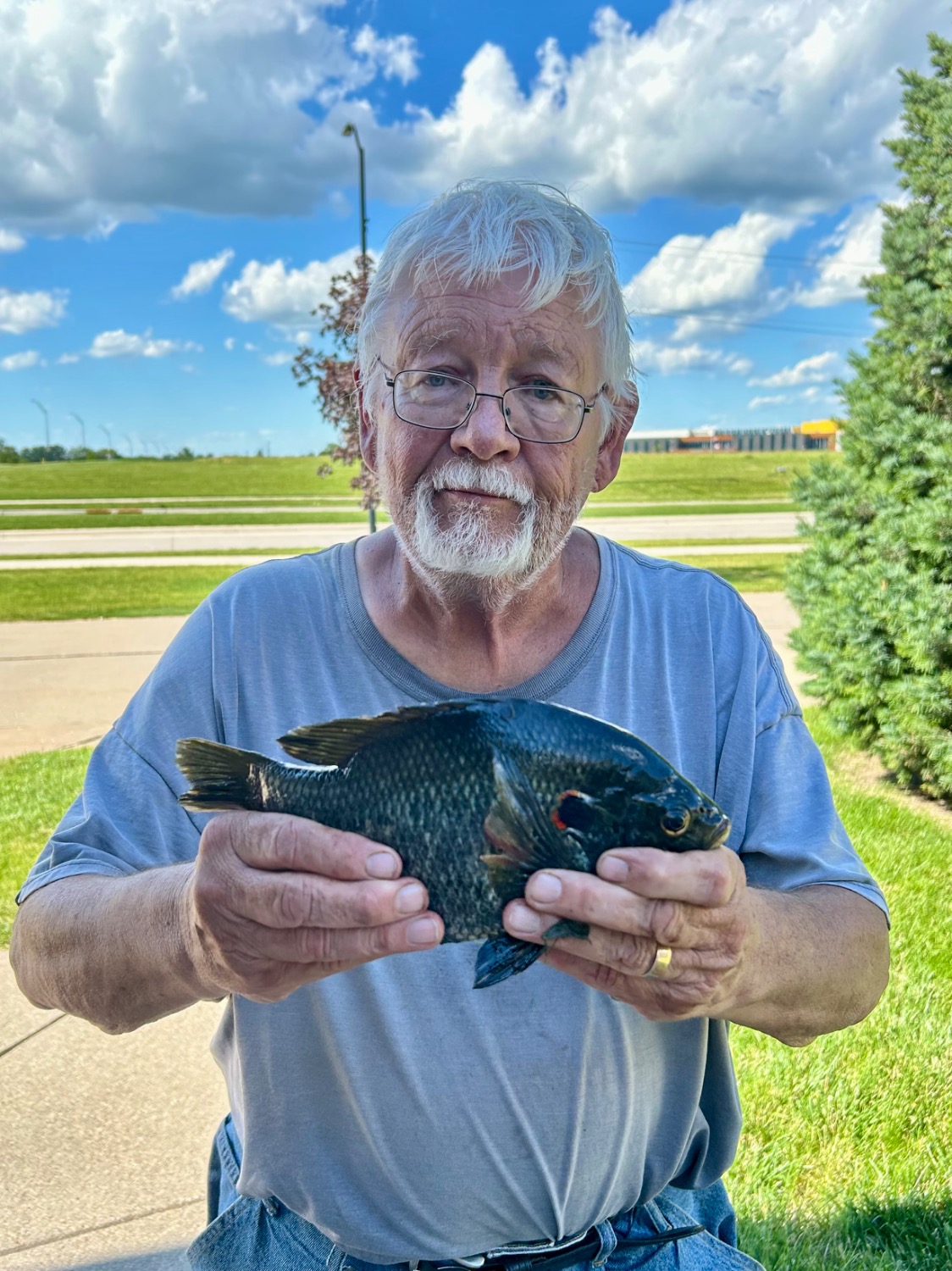 fish