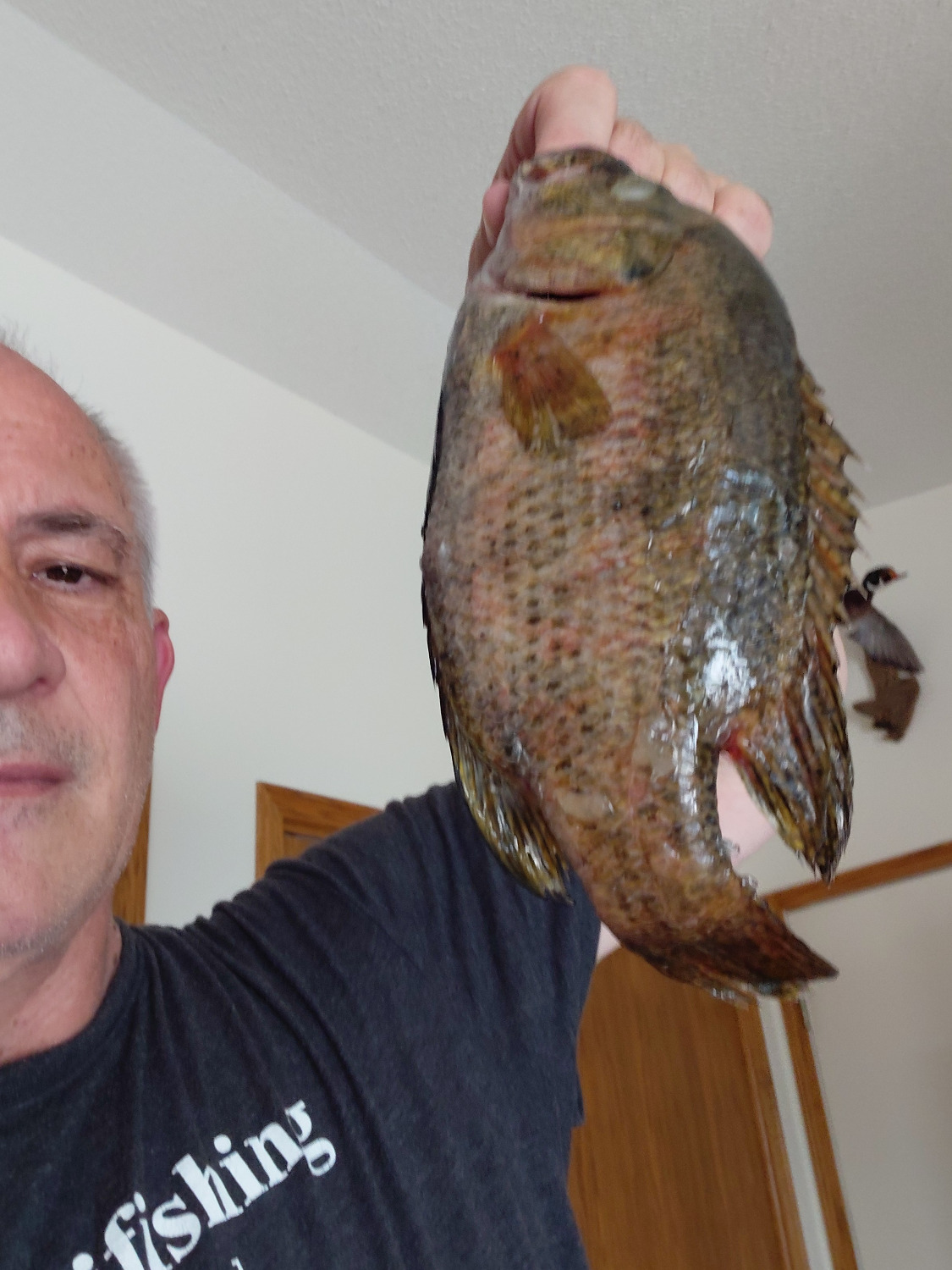 fish