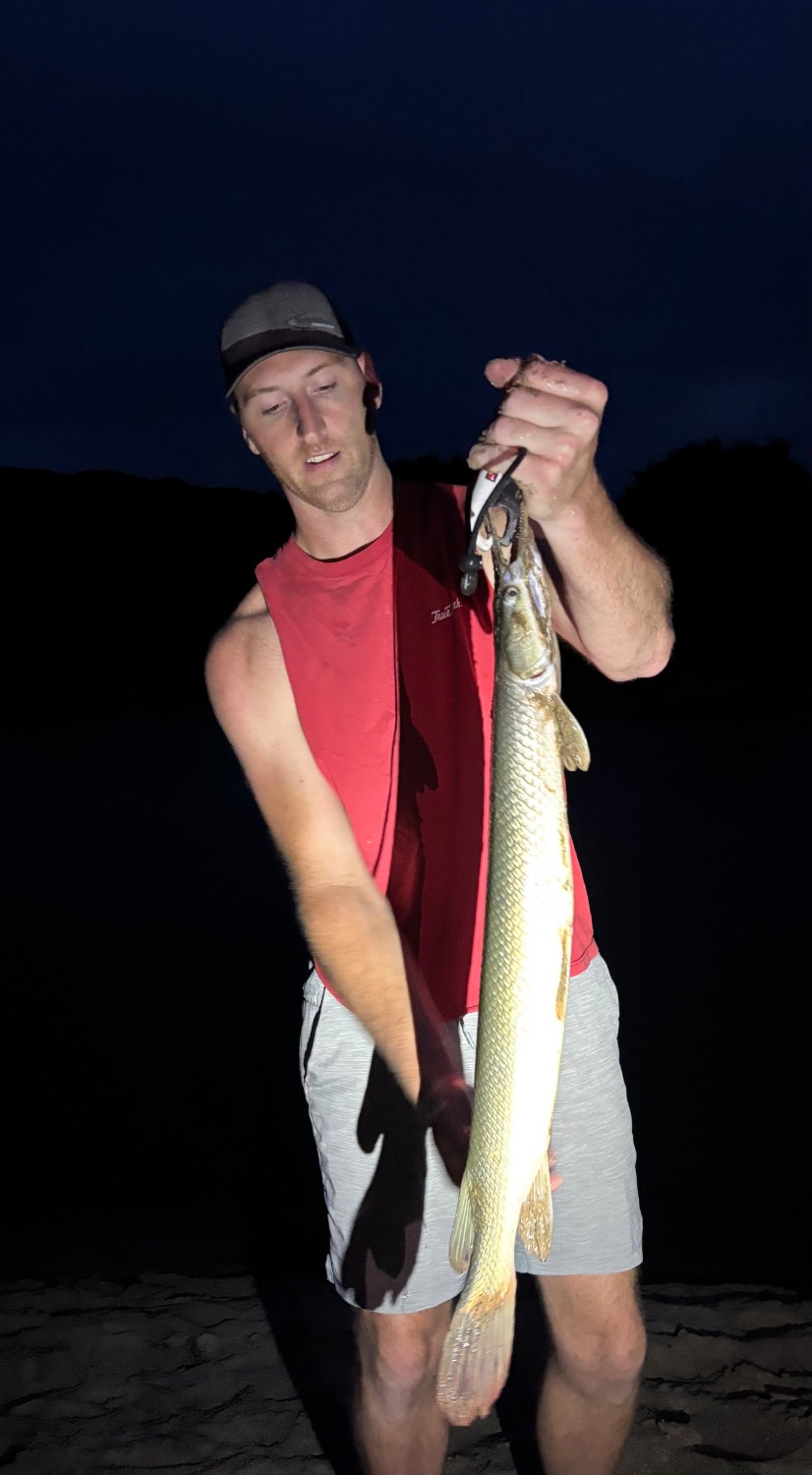 fish