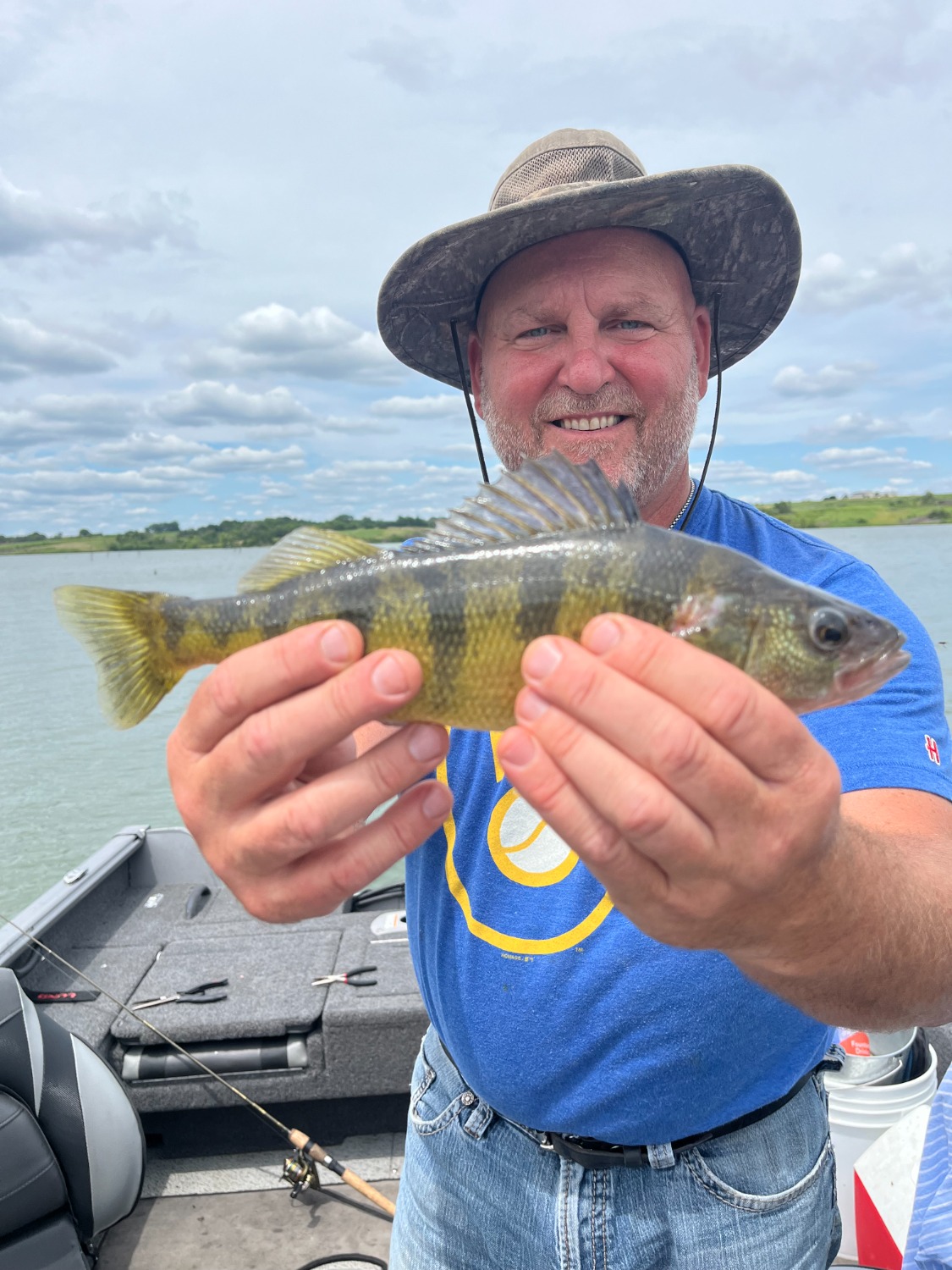 fish