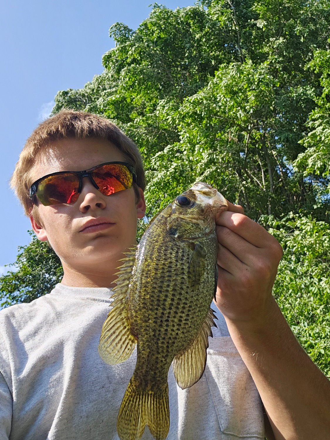fish
