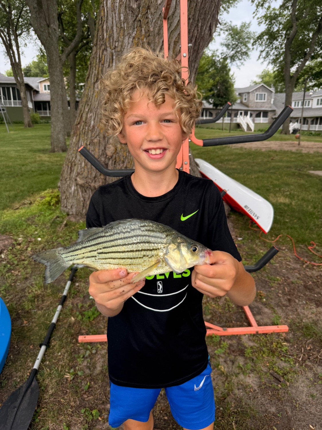 fish