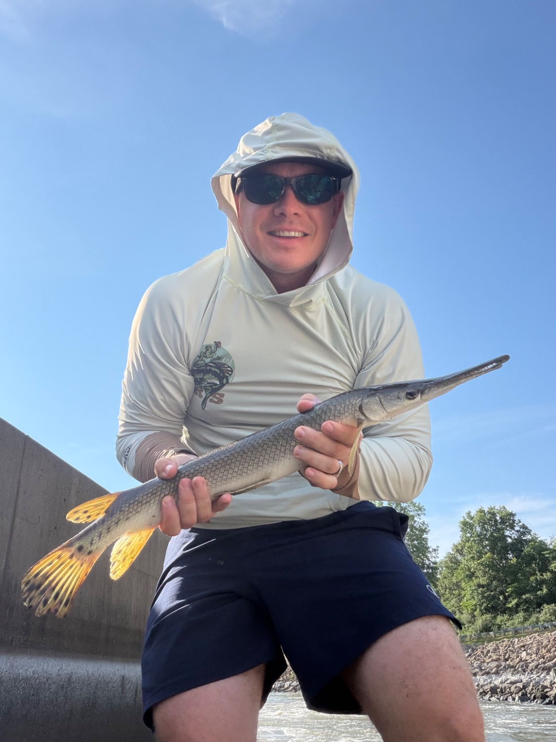 fish