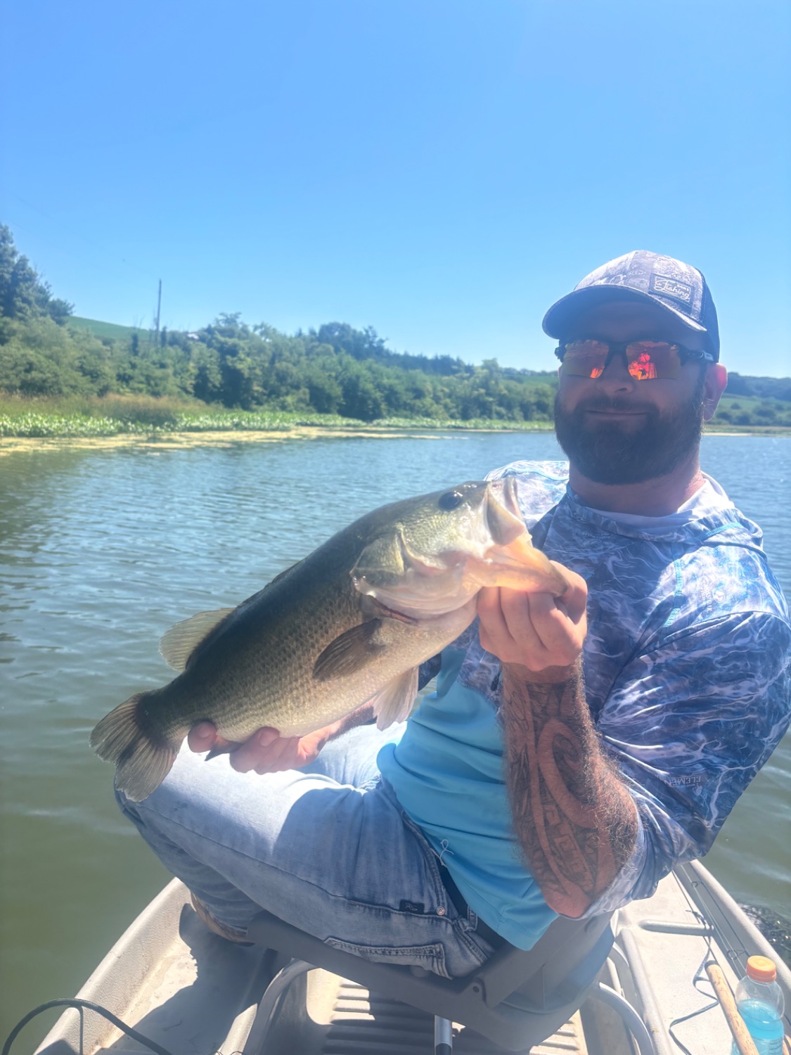 fish