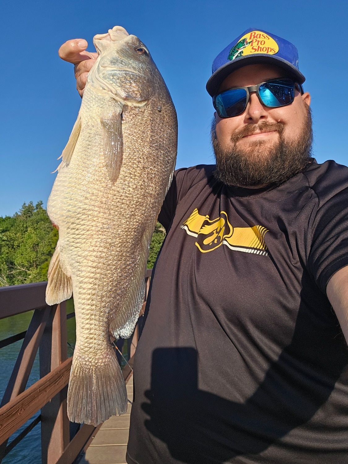 fish