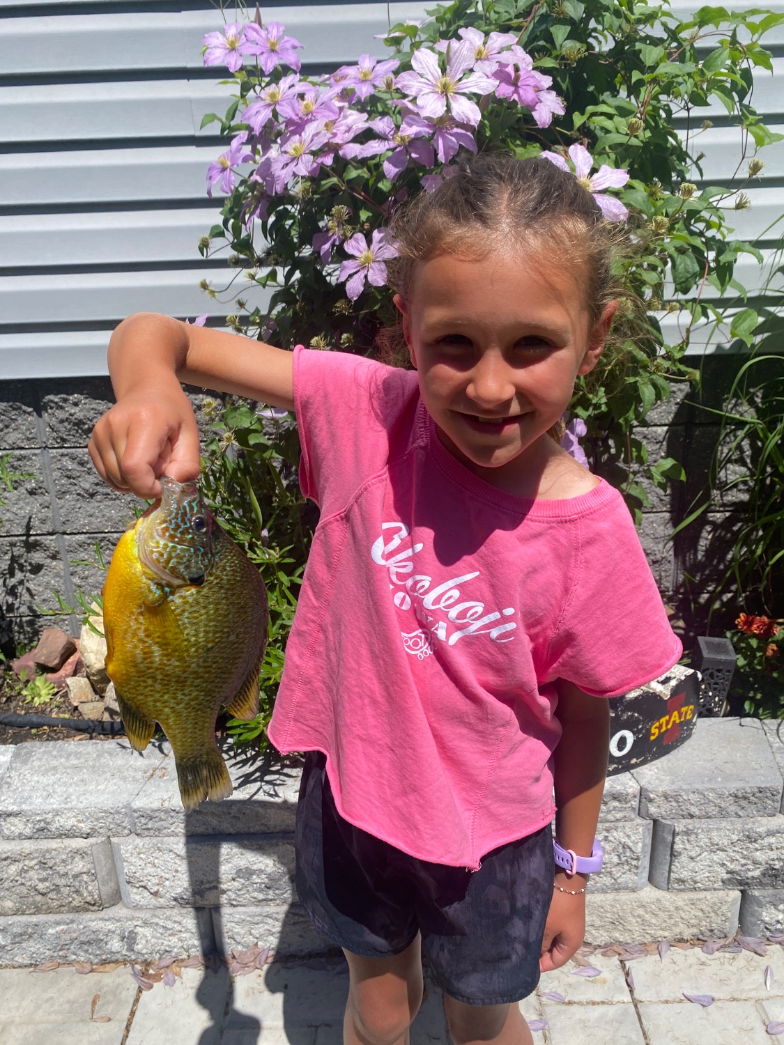 fish