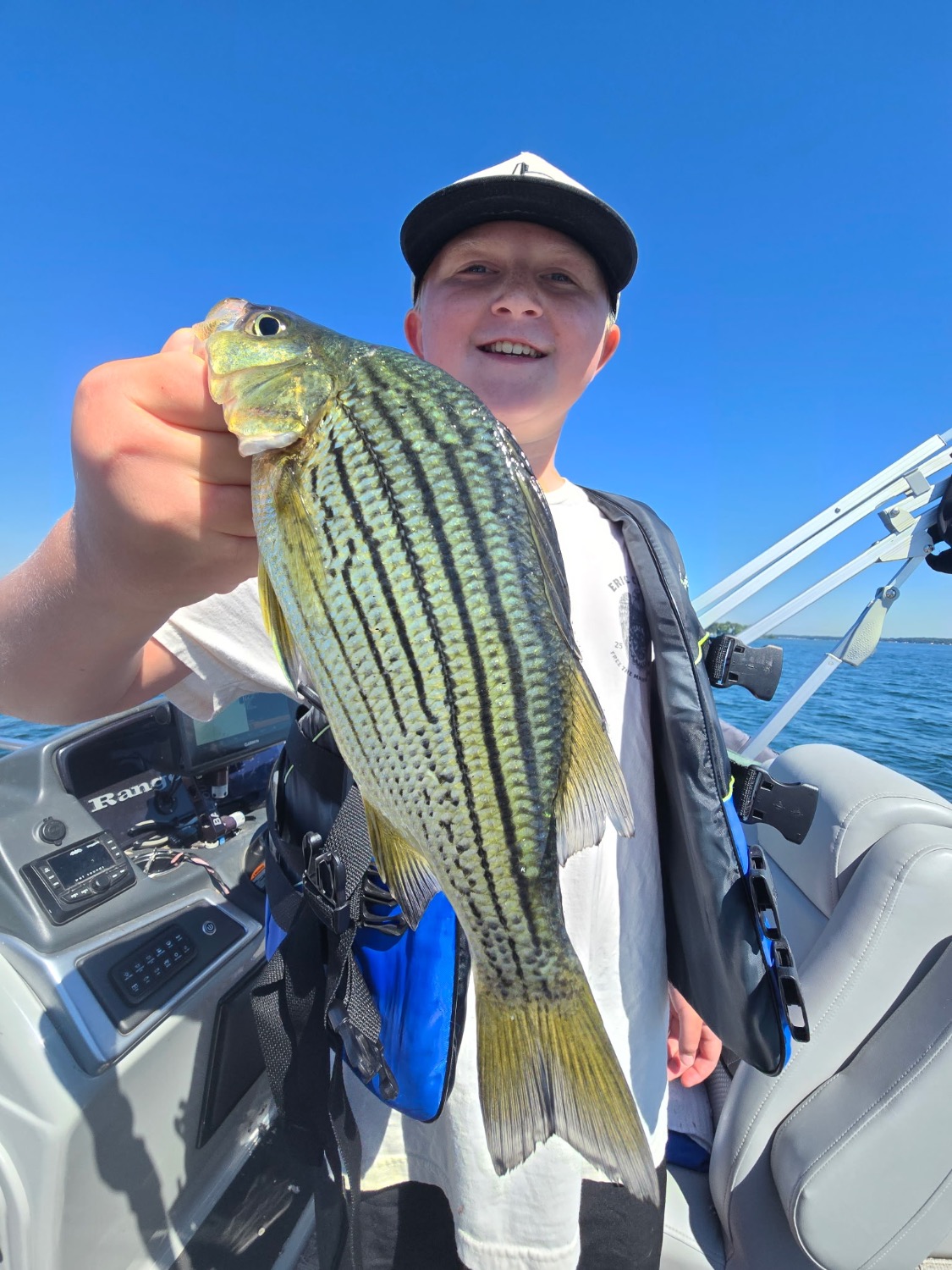 fish