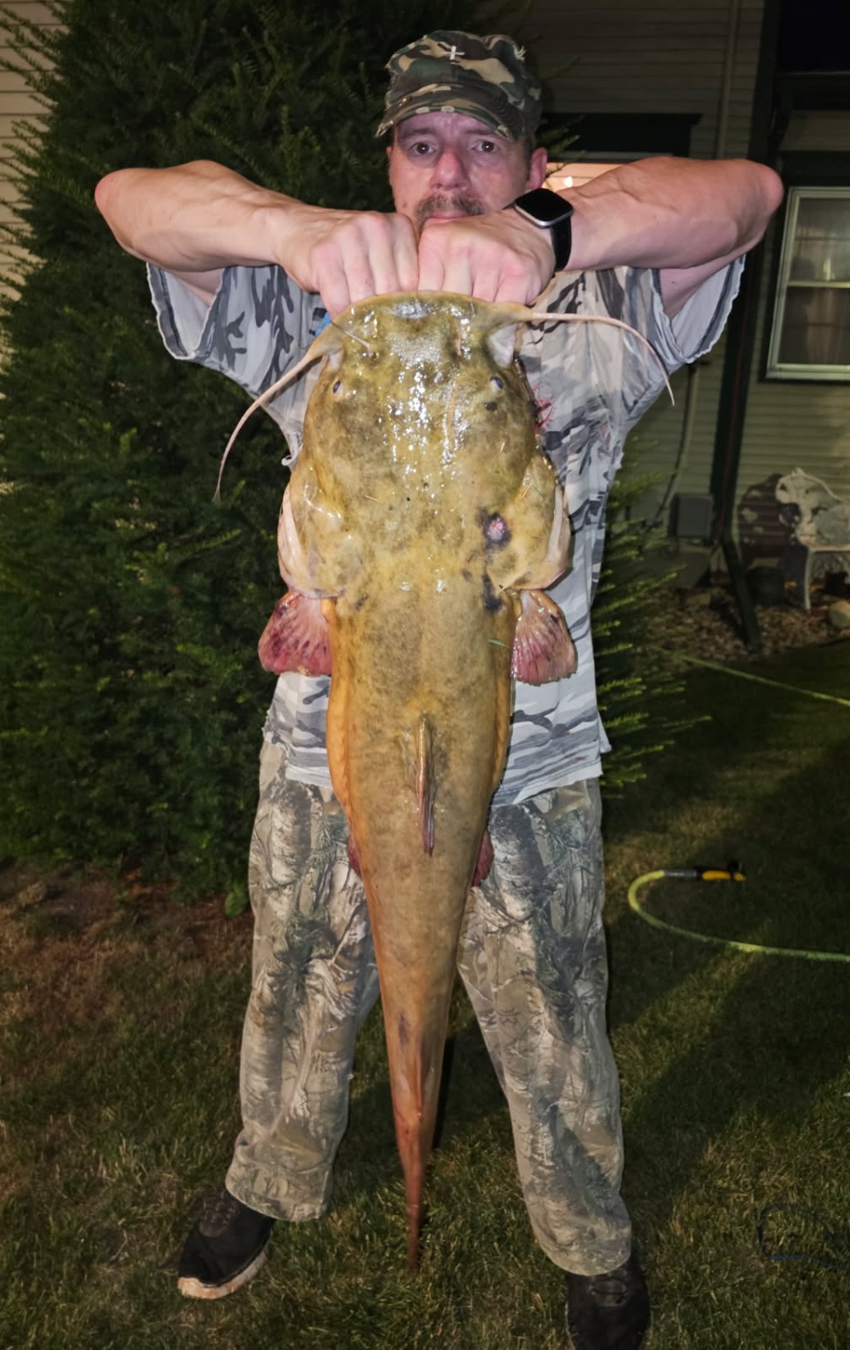 fish