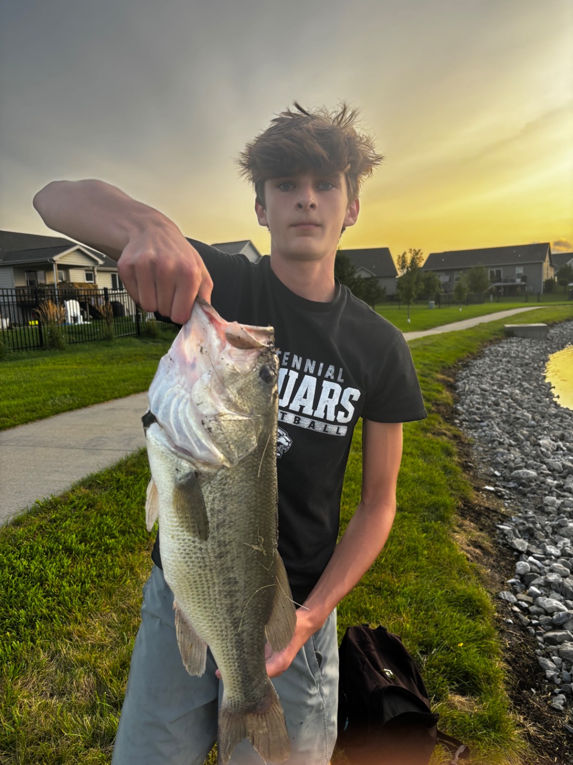 fish