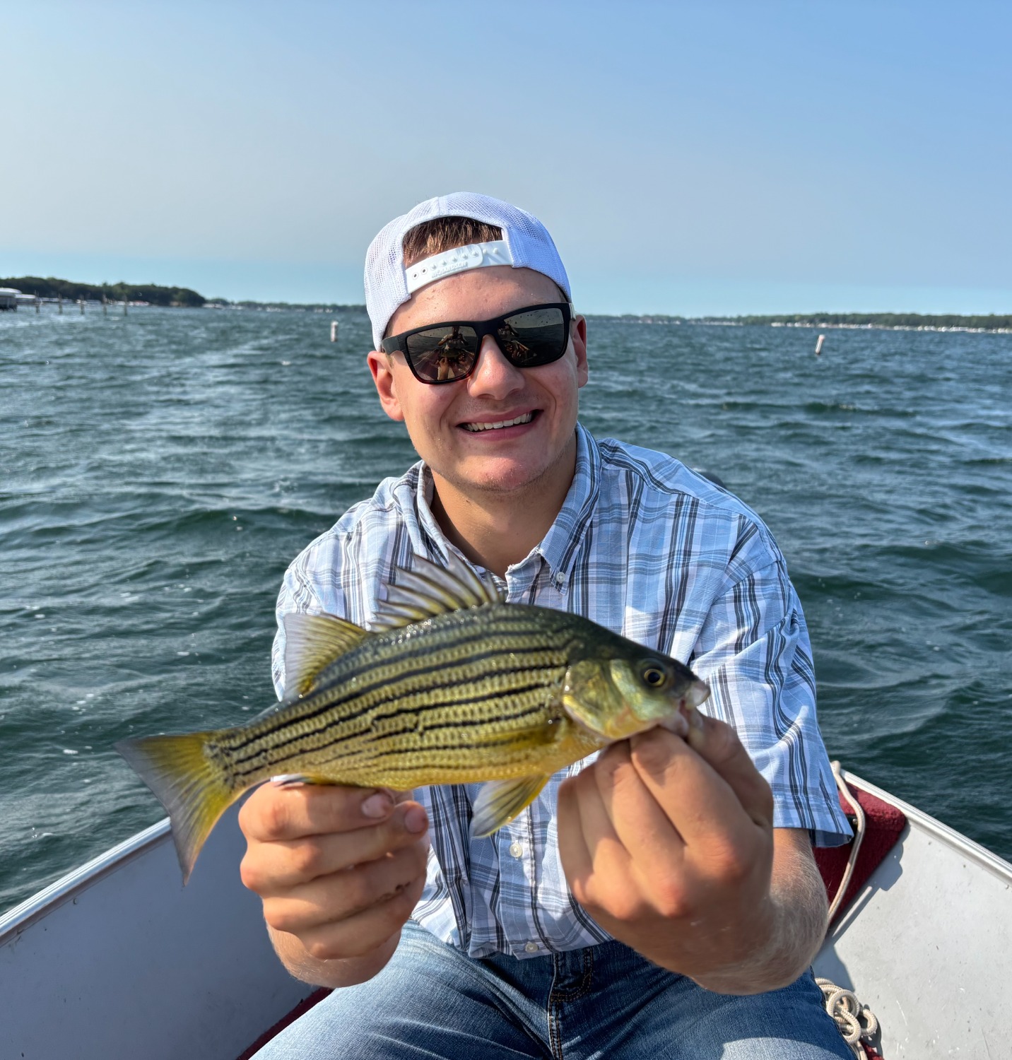 fish