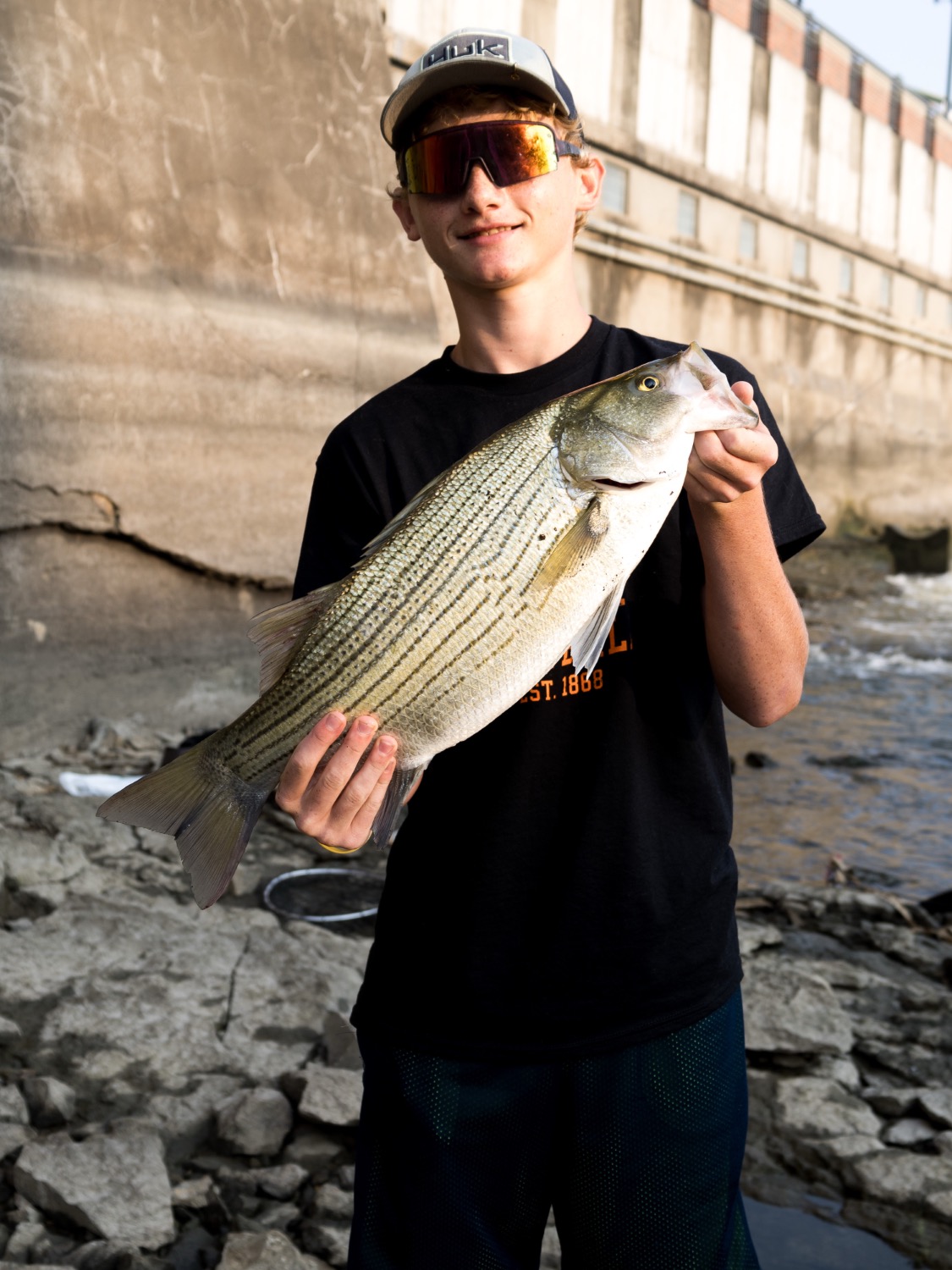 fish
