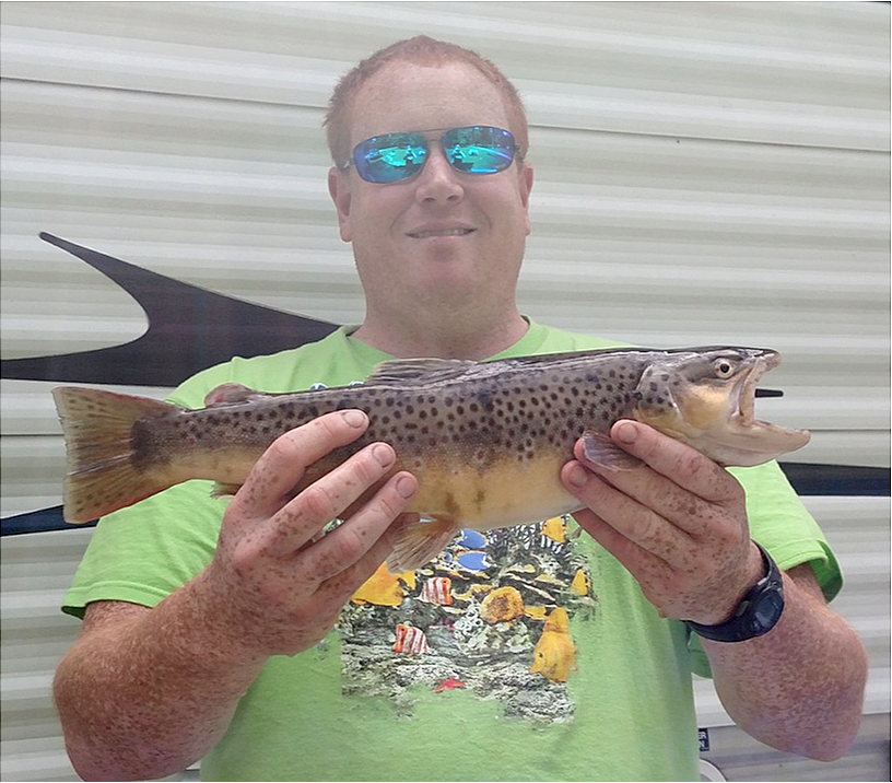 fish