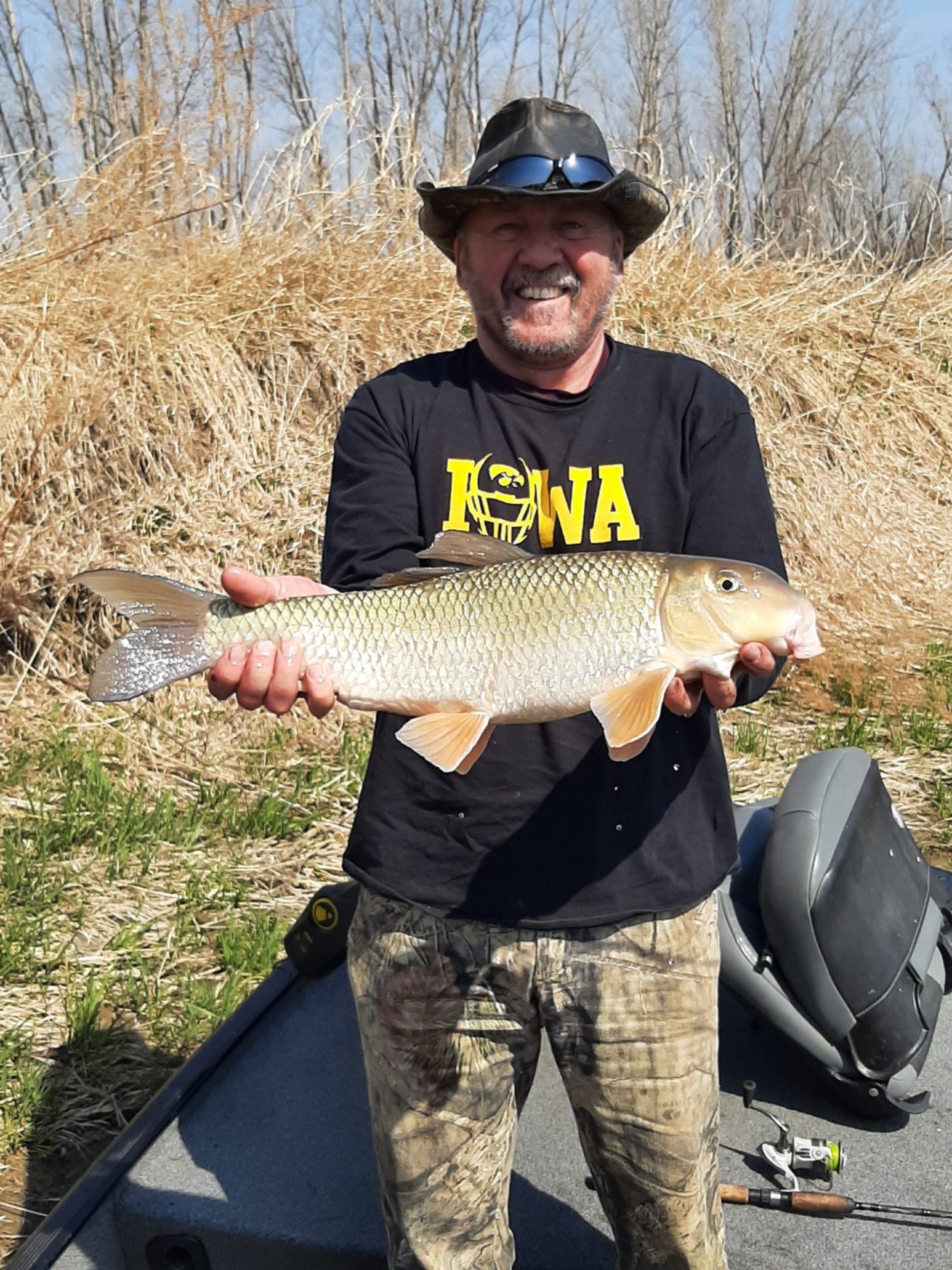 fish