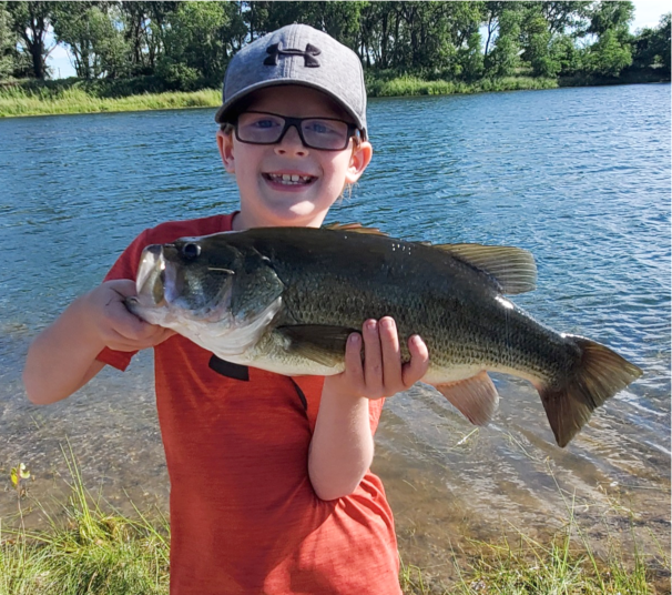 fish