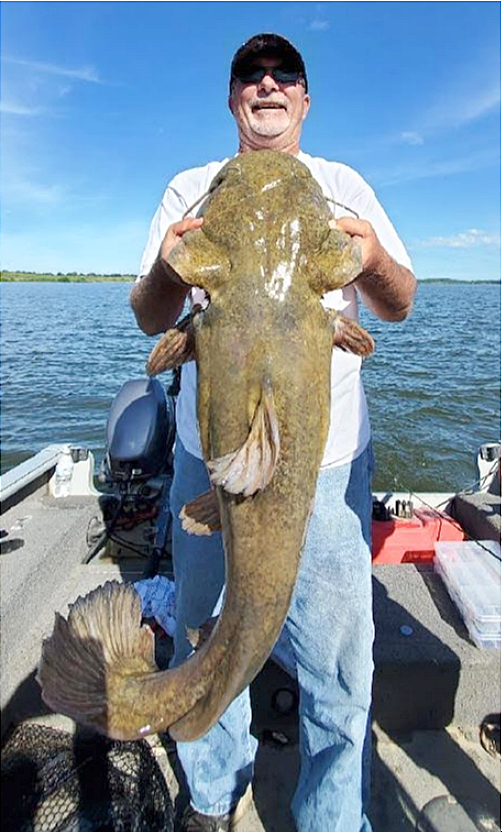 fish