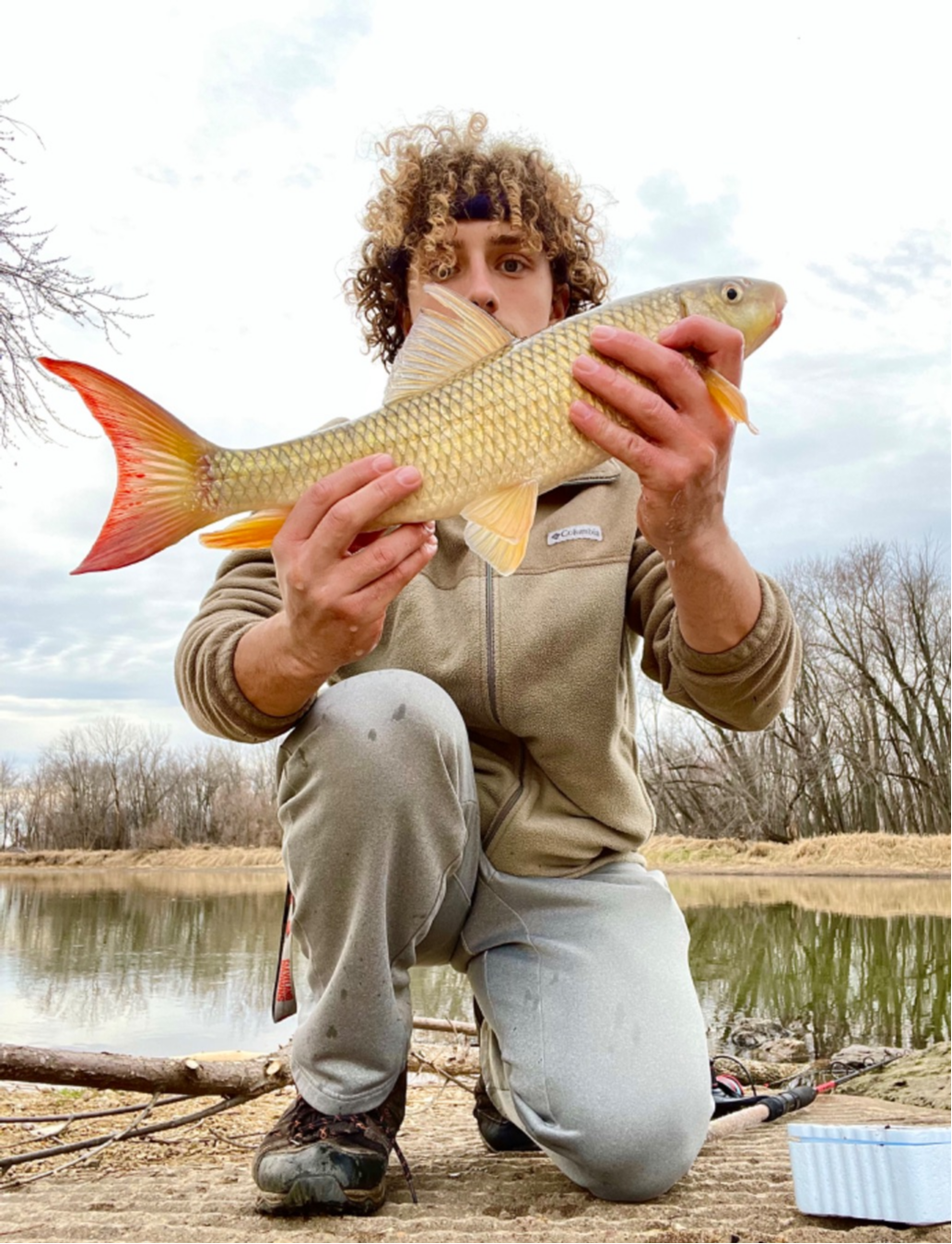 fish