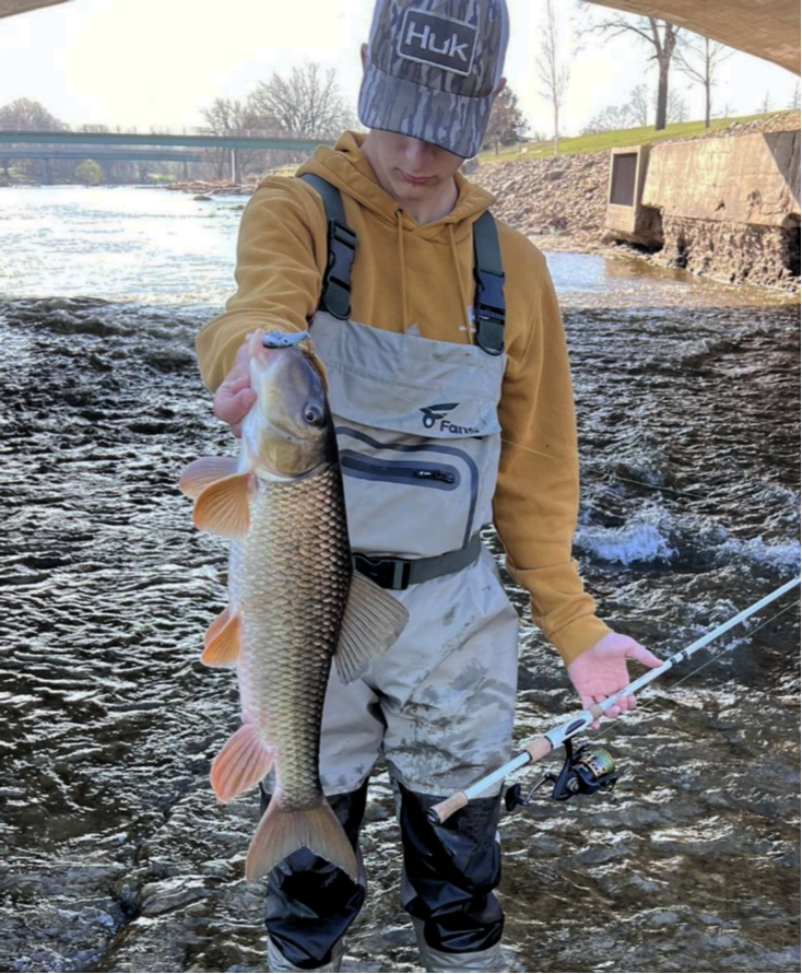 fish