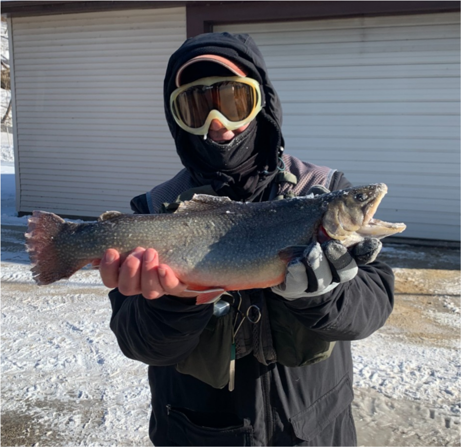 fish