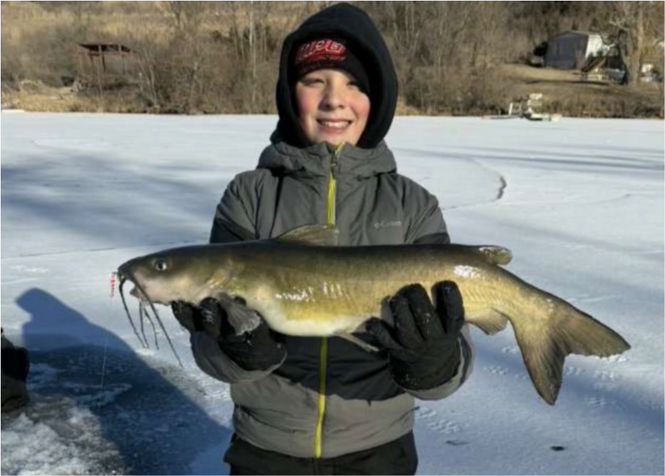 fish