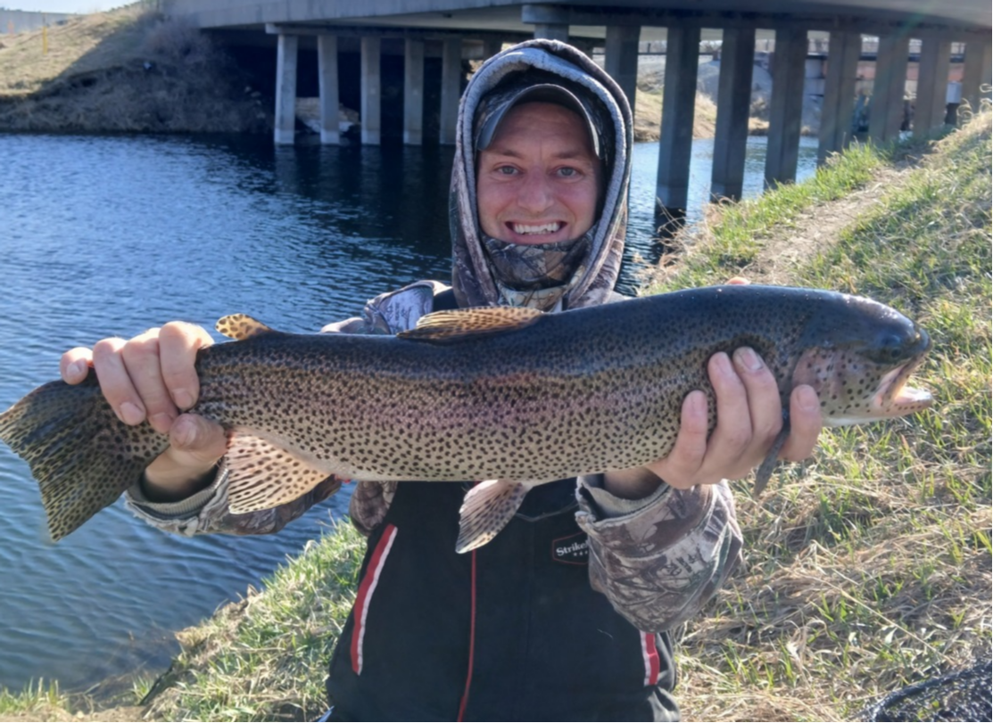 fish