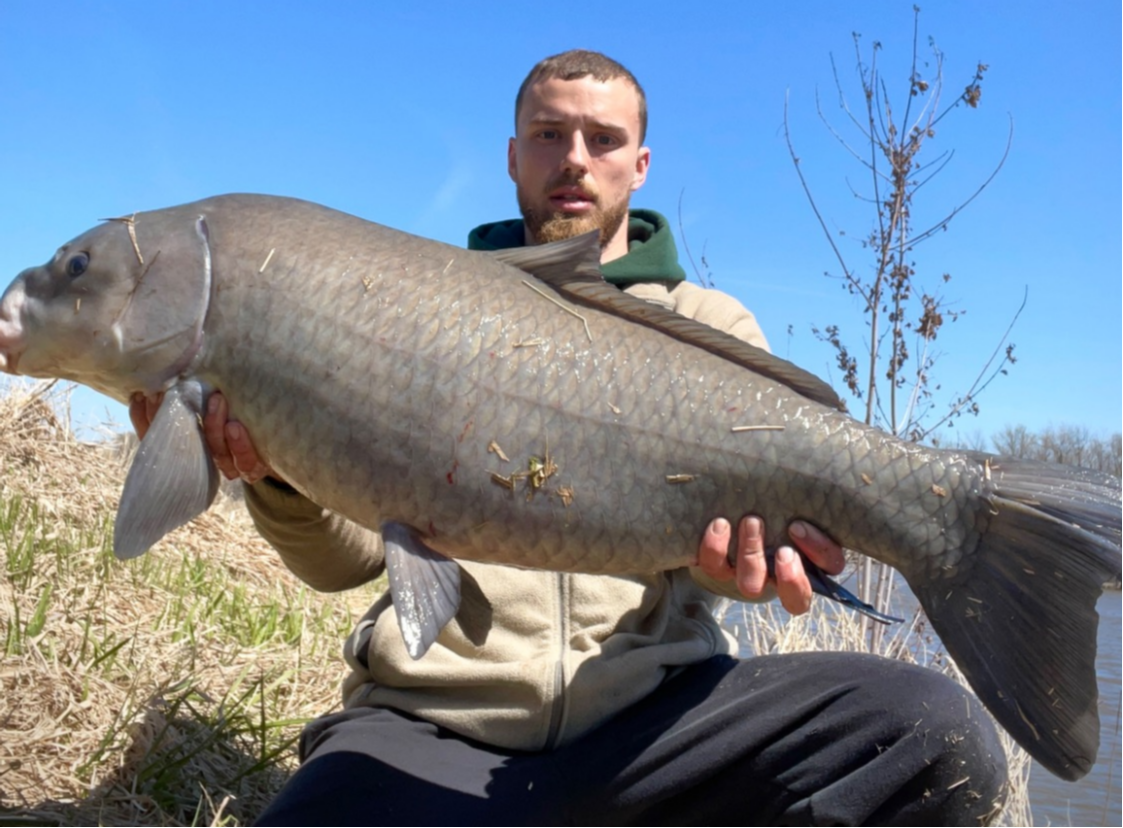 fish