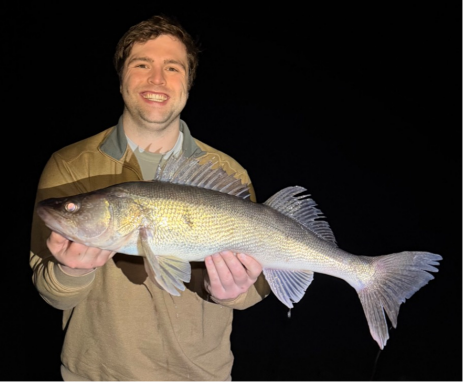 fish