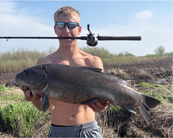 fish