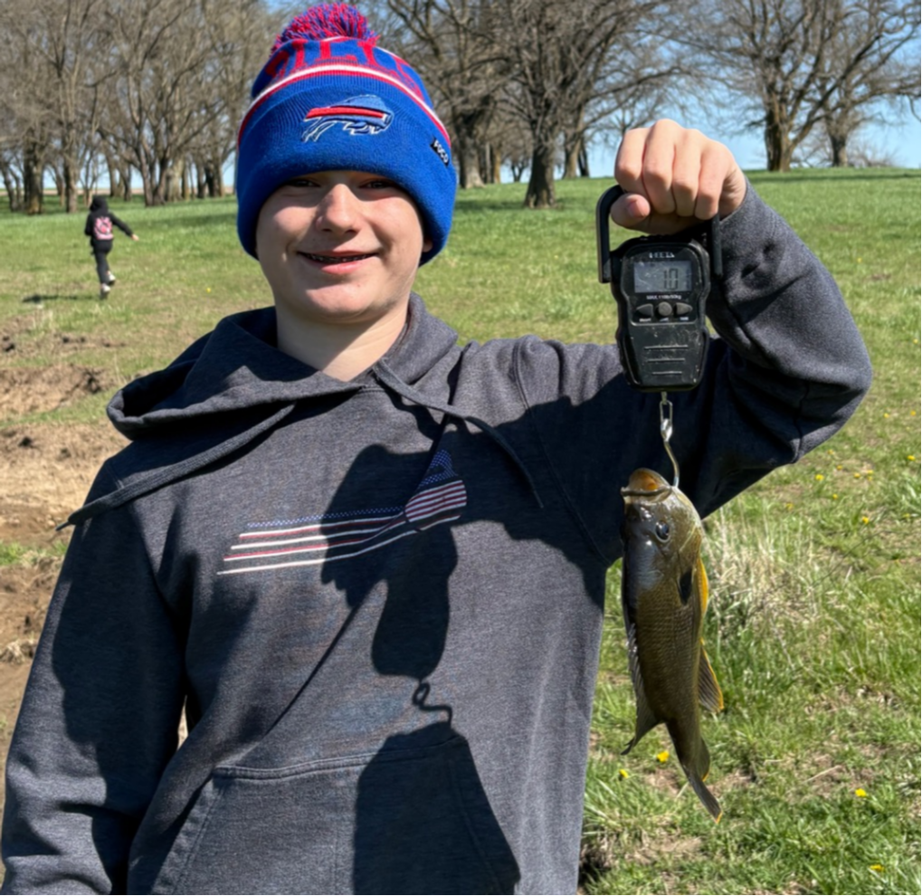 fish