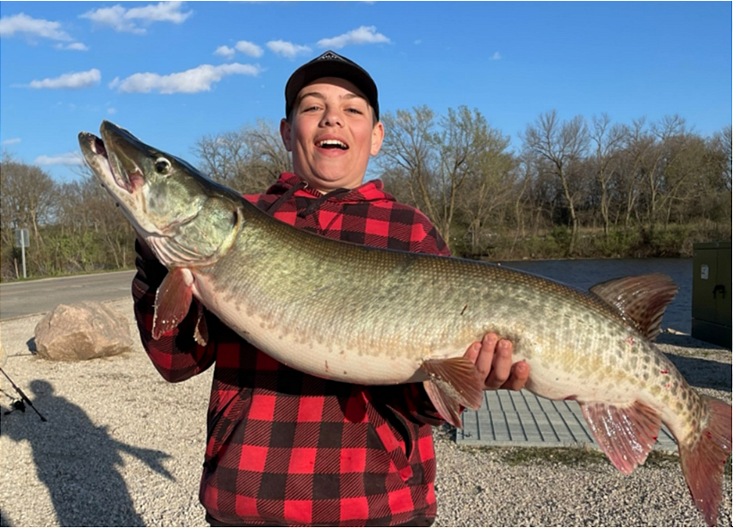 fish