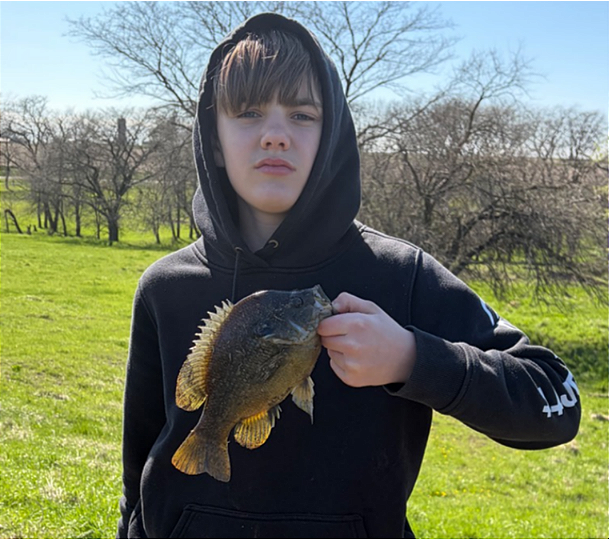fish