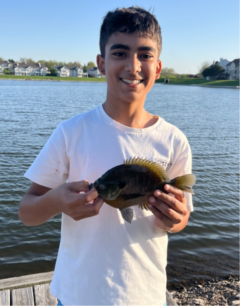fish