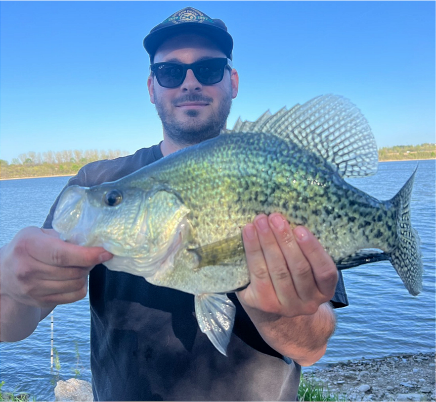 fish