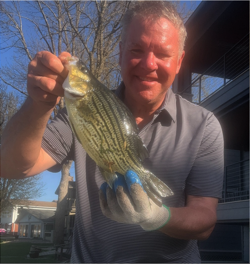 fish