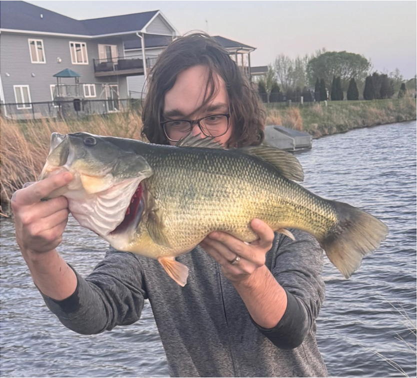 fish