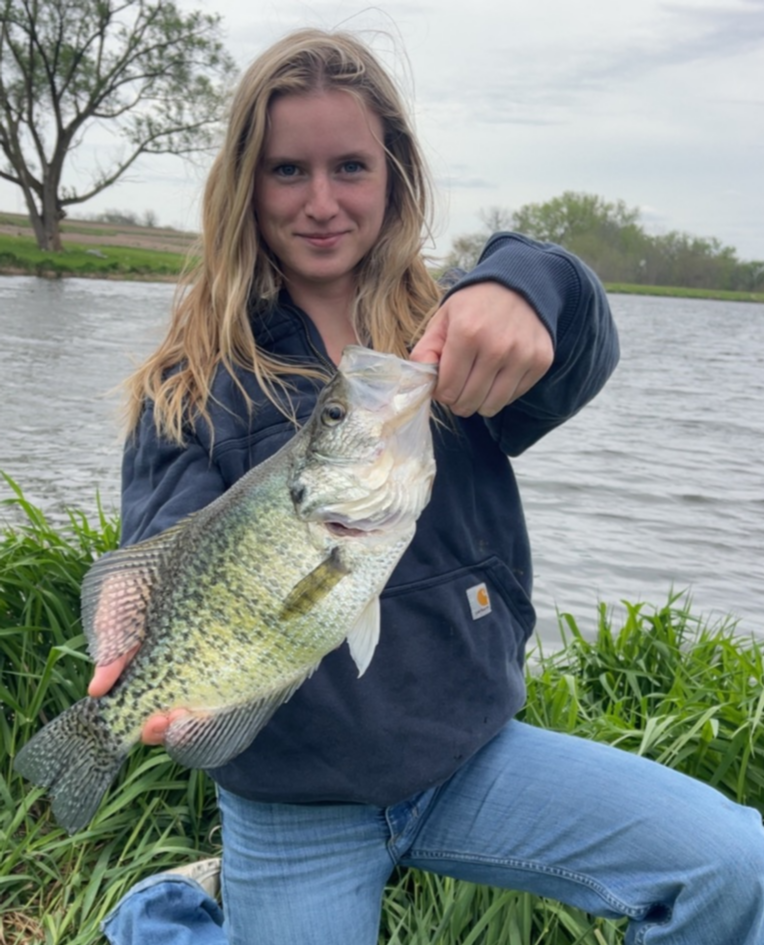 fish