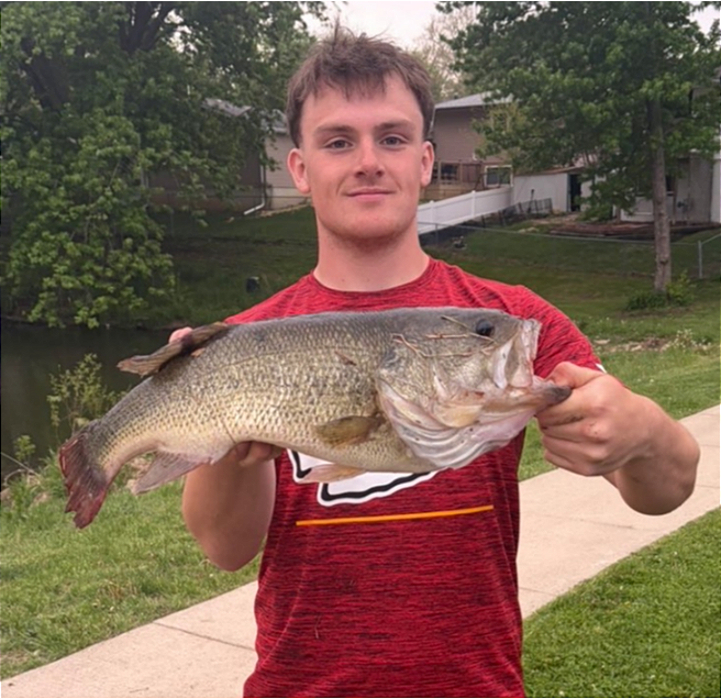 fish