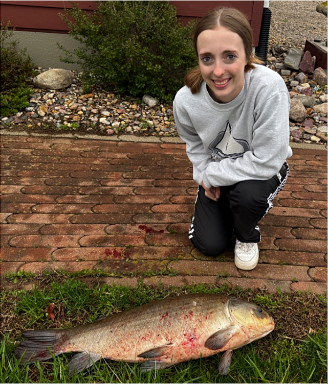 fish
