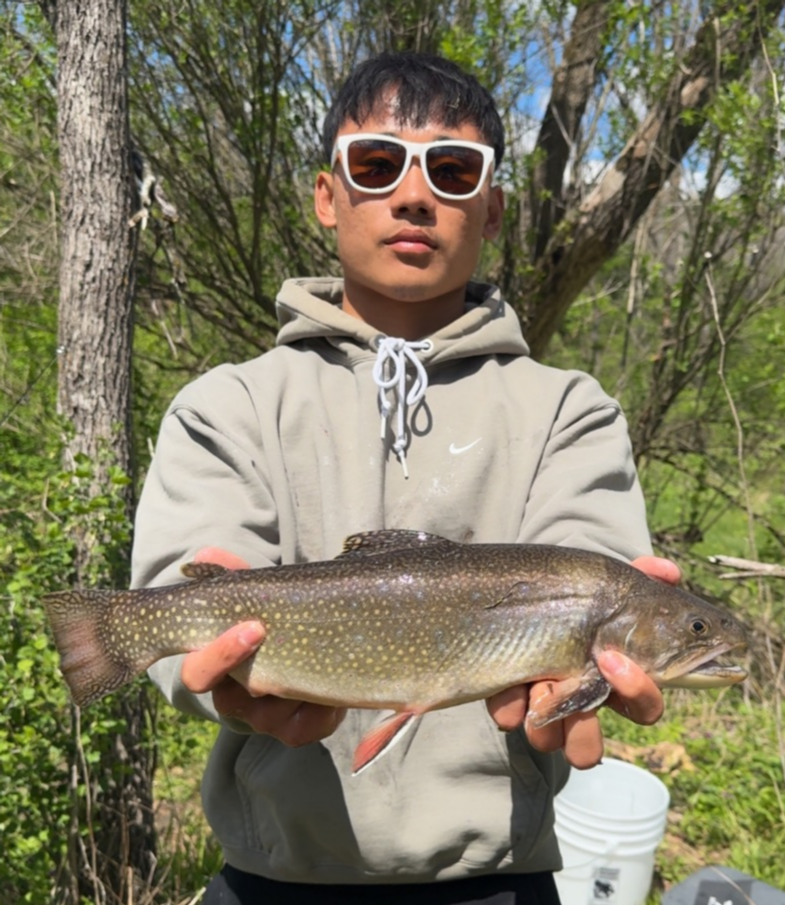 fish