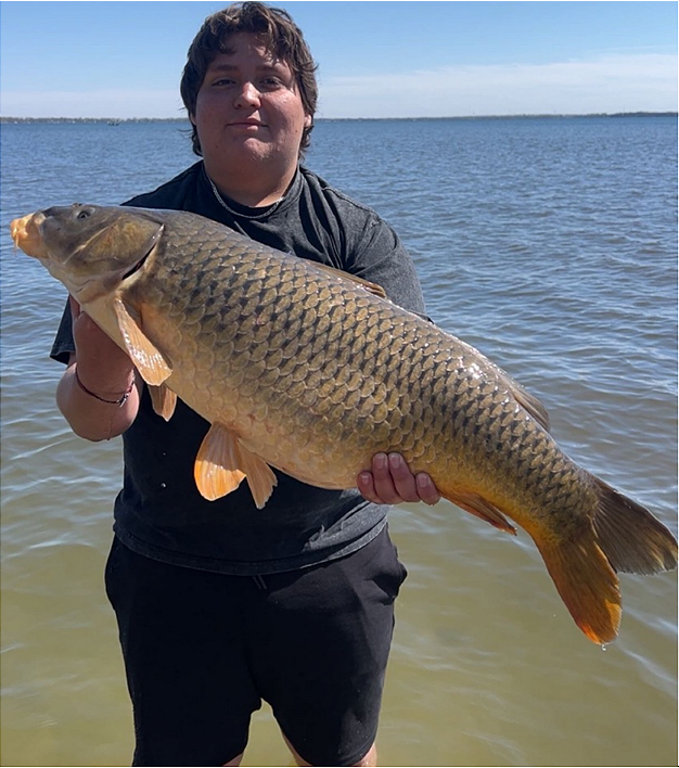 fish