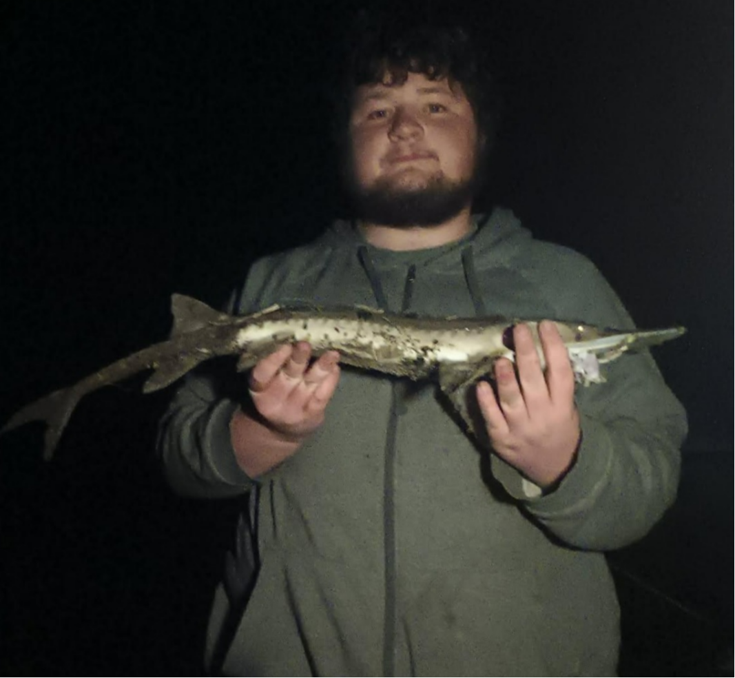 fish