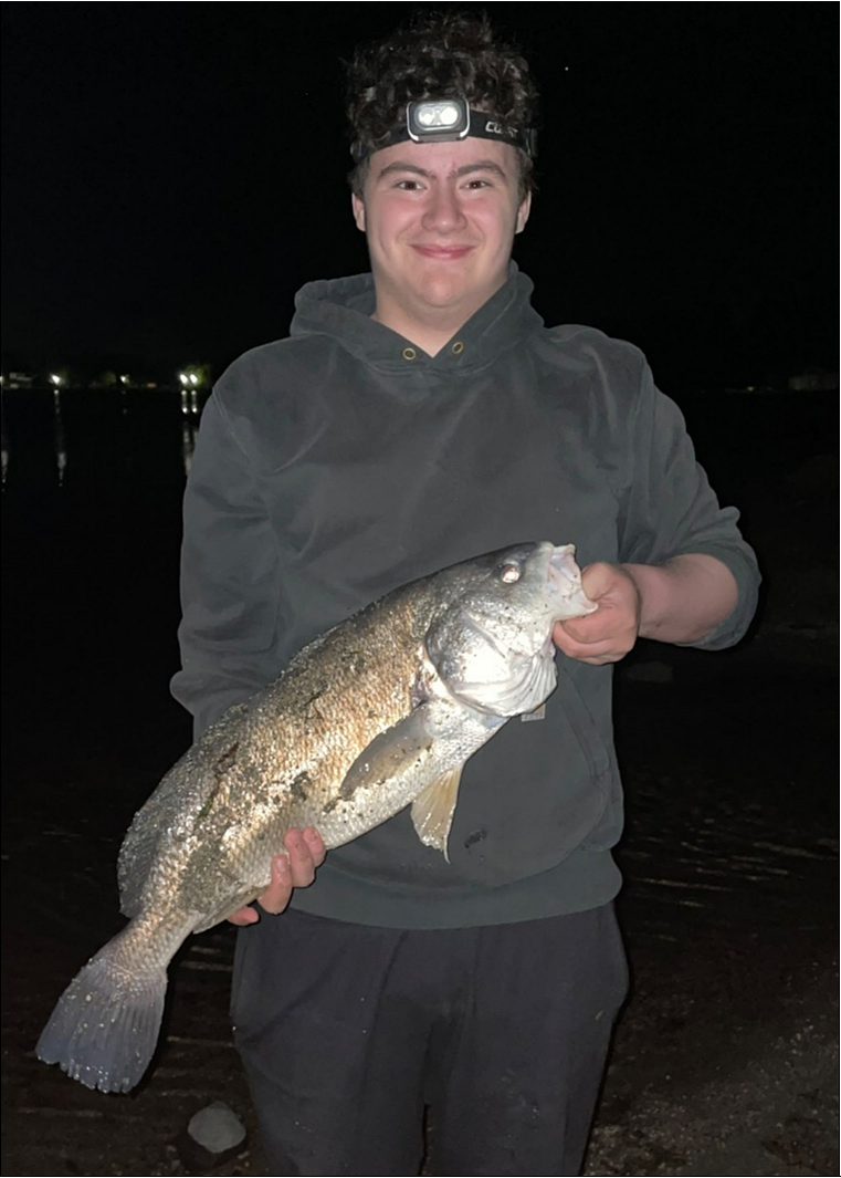 fish