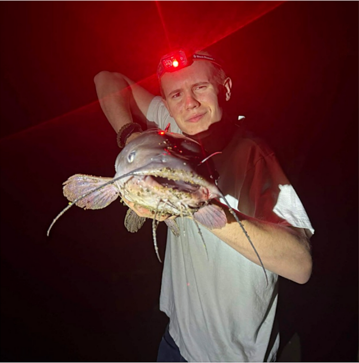 fish