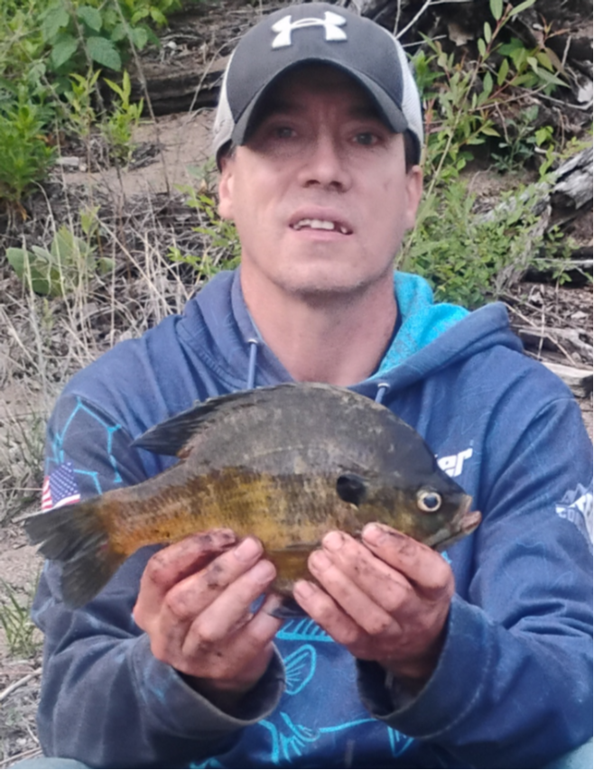 fish