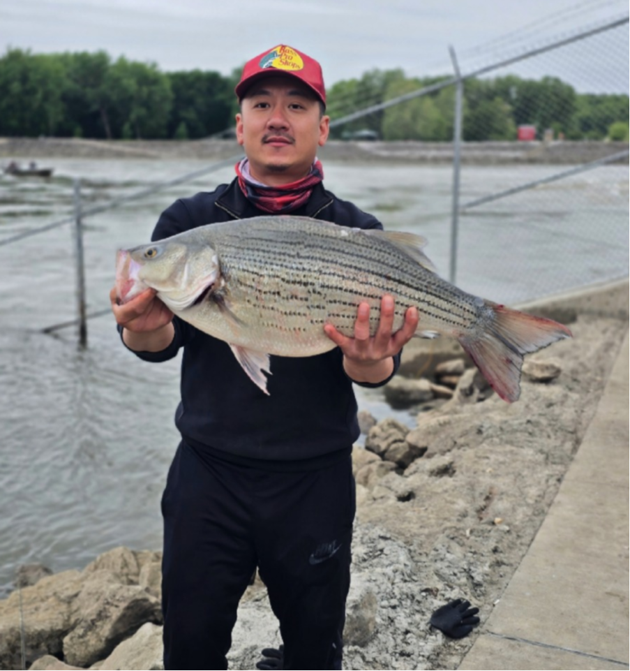 fish