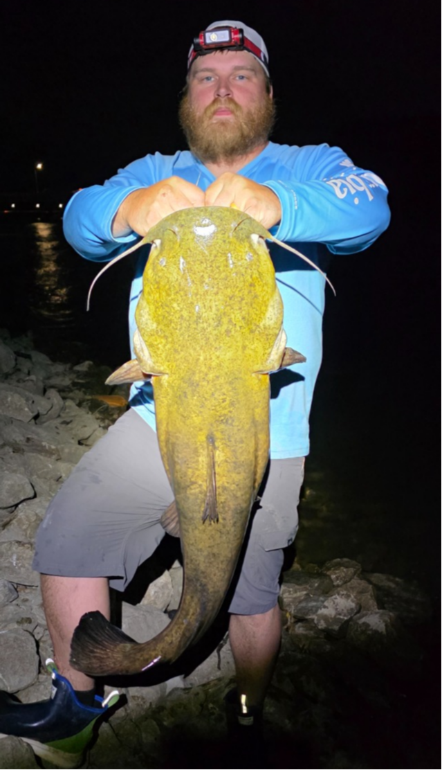 fish